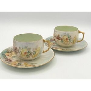 Vtg Thomas Bavaria Floral Tea Cup and Saucer Pair Signed Cottage Garden Party